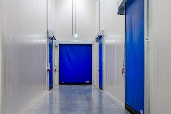 Infographic on the Cost-Saving Benefits of High-Speed Rubber Doors